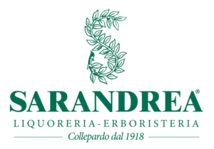 logo-2-768x538